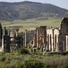 Volubilis_Longshot_II (Copier)