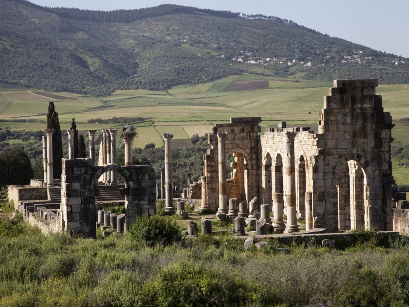 Volubilis_Longshot_II (Copier)