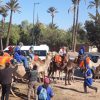 camel ride 5
