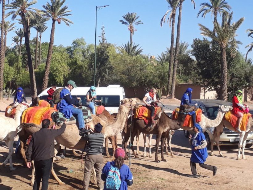 camel ride 5