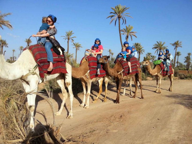 Camel Ride Tour In Marrakech Palm Grove