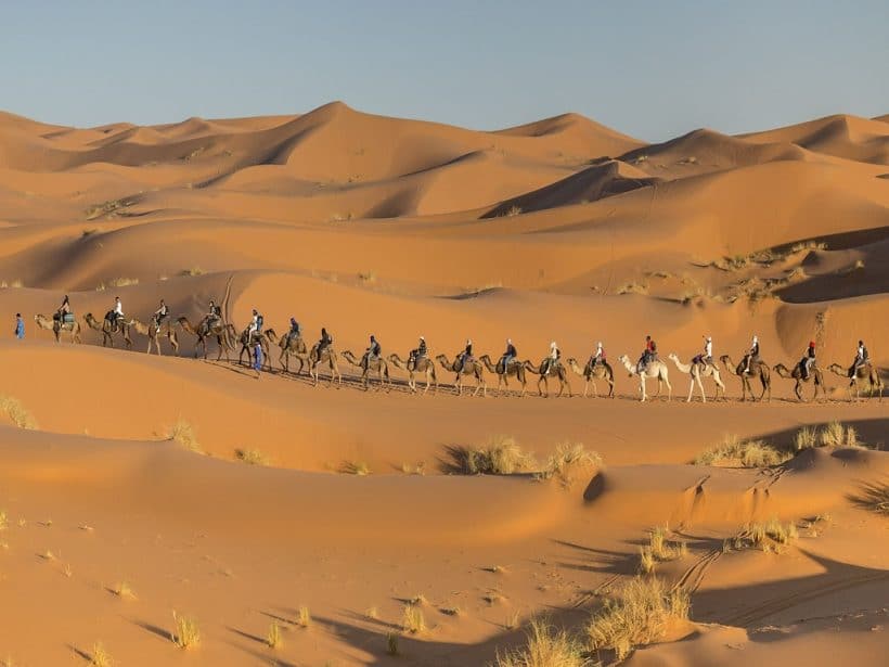 Camel-Caravan-Merzouga-Desert