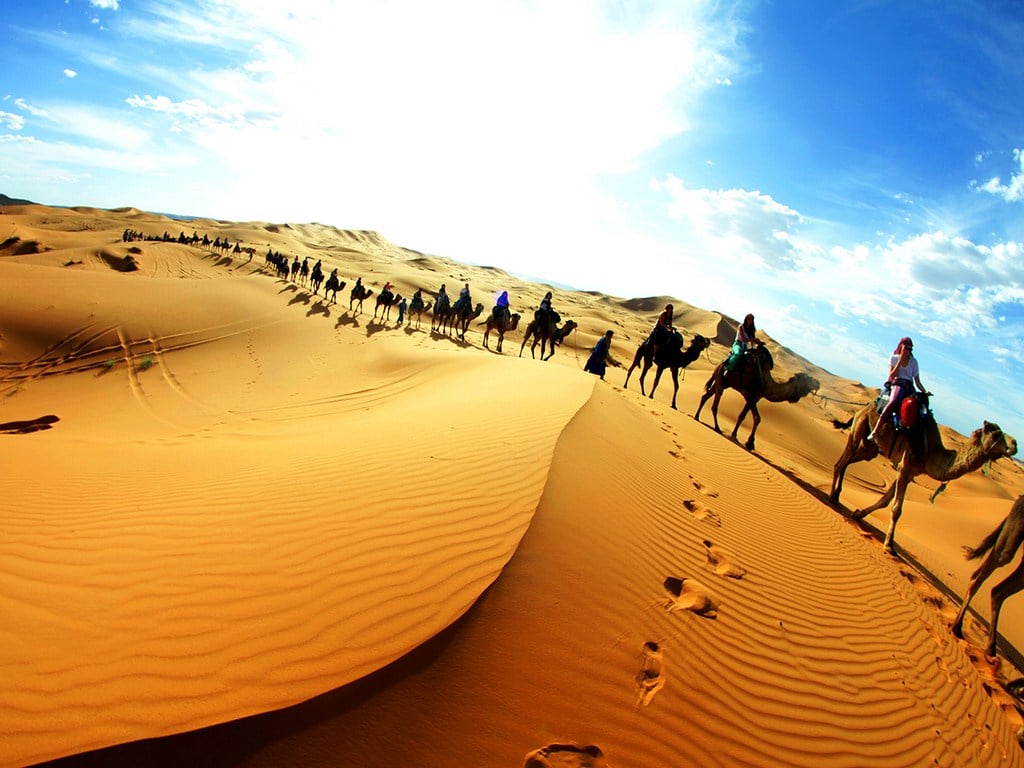 tour travel sahara
