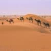 camel-ride-morocco-desert-tour