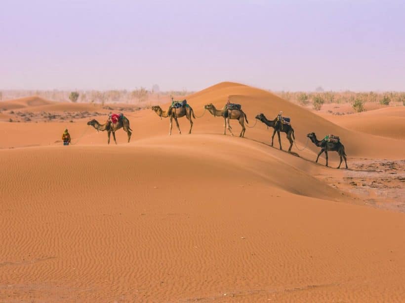 camel-ride-morocco-desert-tour